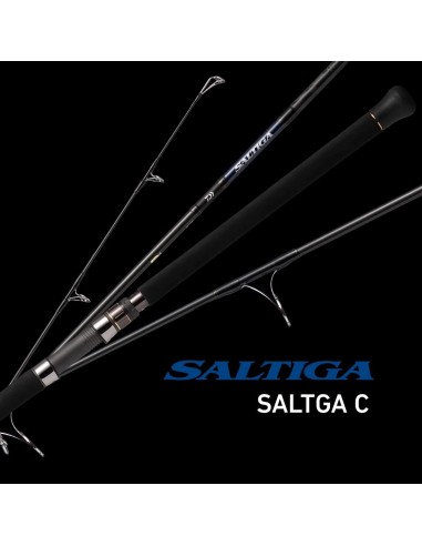 DAIWA SALTIGA 710-8 POPPING