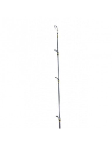 CAÑA TEAM DAIWA SOLID SLOW TDT632HS