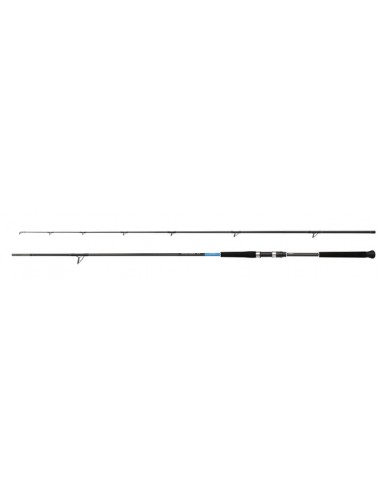 CAÑA SHIMANO BASSTERRA XT SHORE JIGGING